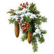 Veselé Vánoce a štastný Nový rok ! Veselé Vánoce a štastný Nový rok !