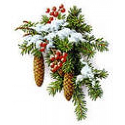 Veselé Vánoce a štastný Nový rok ! Veselé Vánoce a štastný Nový rok !